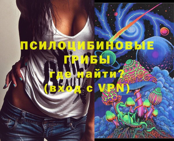 спиды Алексин