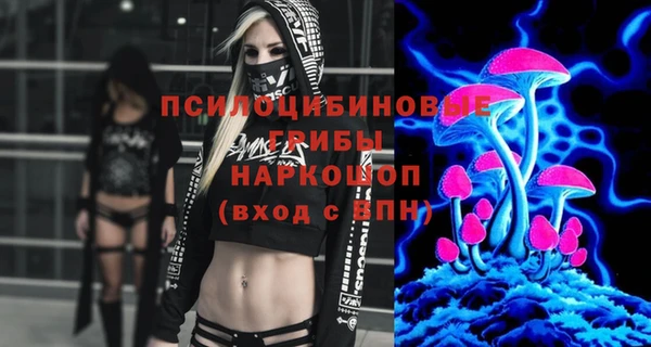 спиды Алексин