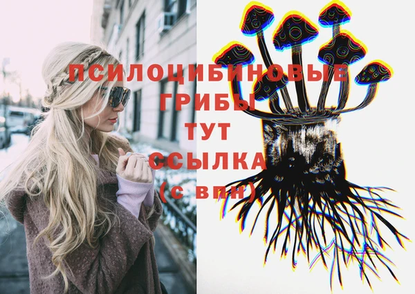 соль курить ск Алексеевка
