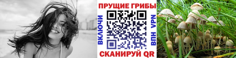 Галлюциногенные грибы Psilocybine cubensis  hydra маркетплейс  Саки 