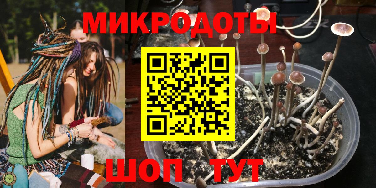 ГАШИШ Саки