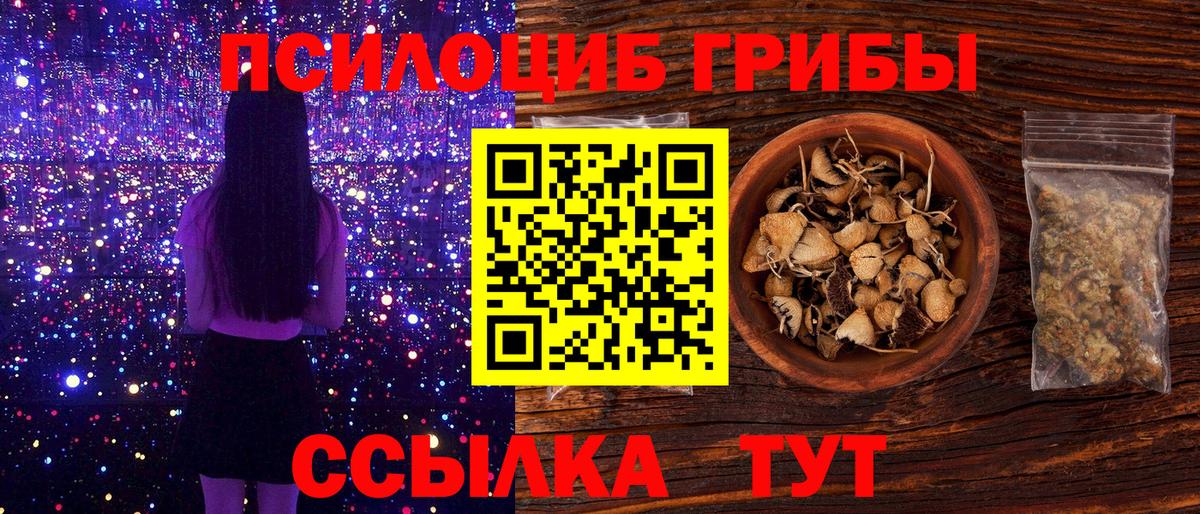Псилоцибиновые грибы Psilocybe Саки