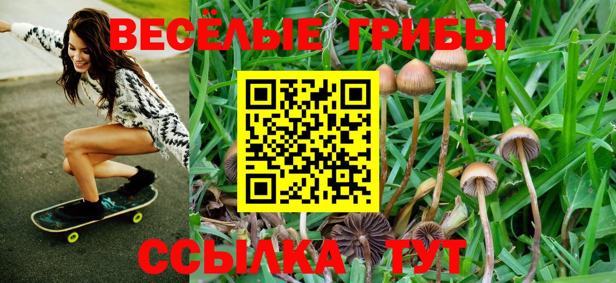 что такое наркотик  Вход с VPN  Саки  Псилоцибиновые грибы ЛСД 